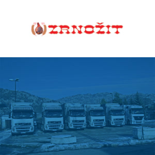 successstores-statements-preview-tile-see-zrnožit-rs-page-1